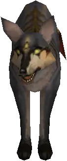 Elder Prairie Keltir