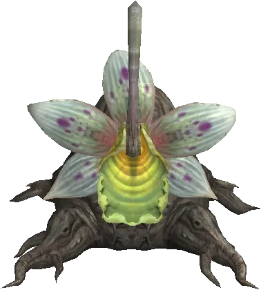 Hot Springs Nepenthes